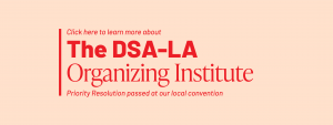 The DSA-LA Organizing Institute
